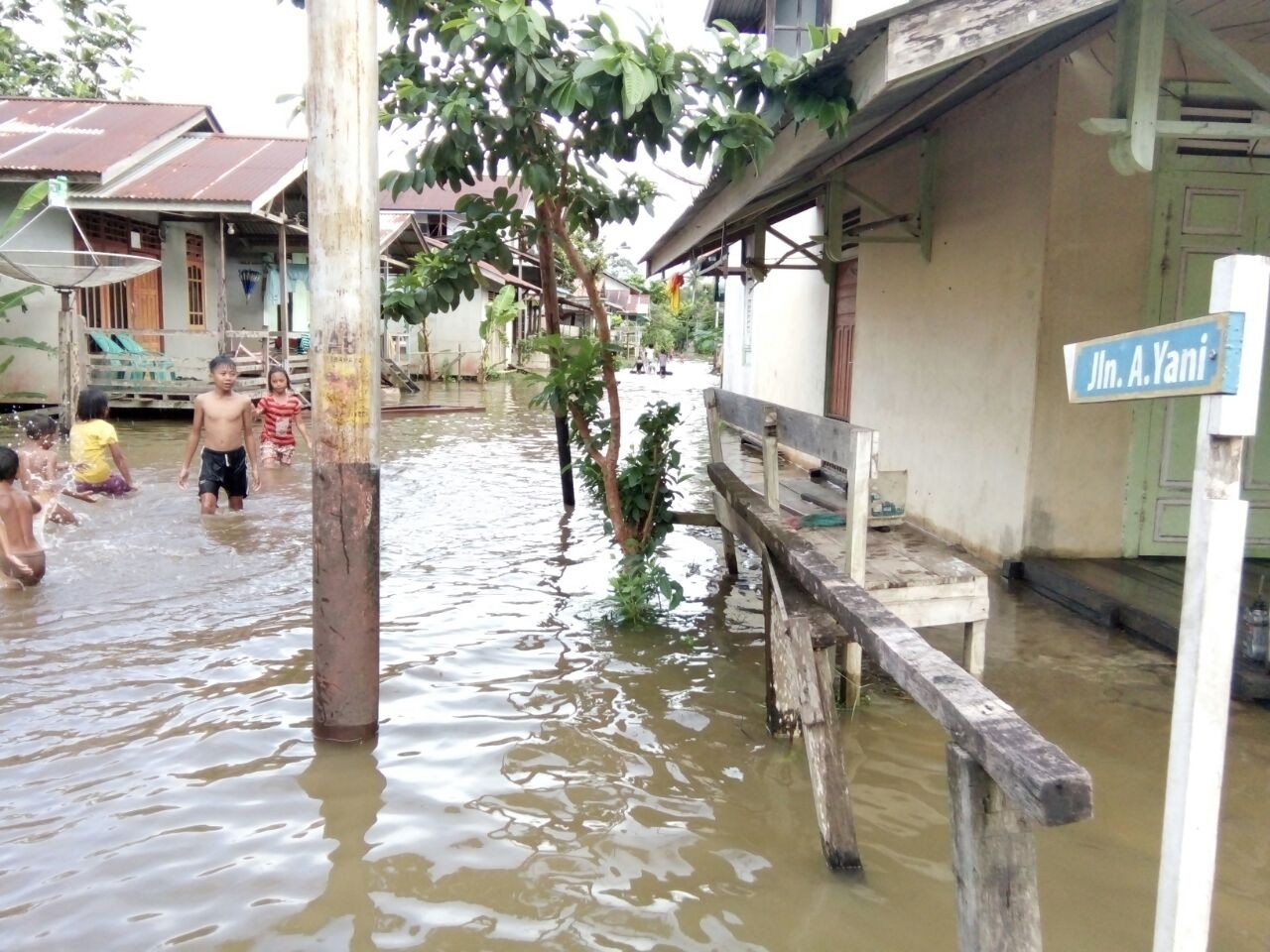 Kritisi Banjir Kalbar, Walhi Sebut sebagai Konsekuensi Perusakan